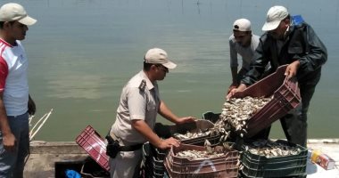 صور.. الأمن يزيل التعديات على بحيرة البرلس ويضبط 385 مخالفة 