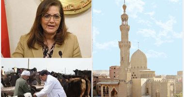 شاهد.. فيديو افتكاسات "الهرايين" فى أجمل هبدة الساعة واحدة
