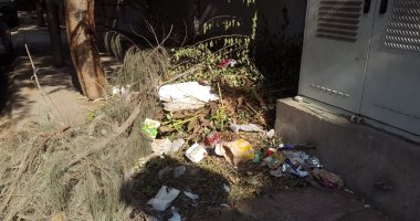 شكوى مصورة تكشف انتشار أكوام القمامة فى شارع الثورة بالدقى  