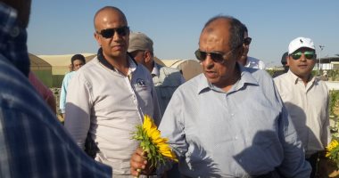 تعرف على توصيات "الزراعة" لحدائق العنب لمنع إصابة الأشجار بالآفات×7 معلومات