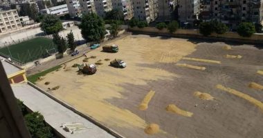 صور.. تهالك مدرجات مركز شباب النصر "كارثة" تهدد الضيوف بالإسكندرية