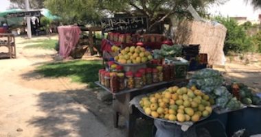 سيدات بقرى بئر العبد يبحثن عن الرزق الحلال على جانبى الطريق الدولى