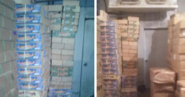 فيديو.. ضبط 174 طن أسماك فاسدة داخل ثلاجة فى البحيرة قبل طرحها بالأسواق