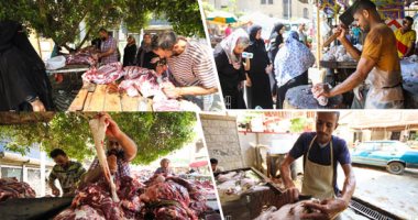 3 أسباب وراء عدم تراجع أسعار اللحوم فى الأسواق رغم انخفاض الماشية.. هبوط الجلود وارتفاع الأعلاف الأبرز.. أحد المربين: اتجاه المزارع للمستورد قلل الطلب على المواشى.. وجزار: تراجع الطلب على التربية الريفية
