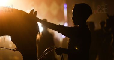صورة اليوم... فى أفراح القرى.. الأطفال والخيل "بحبك يا صاحبى"
