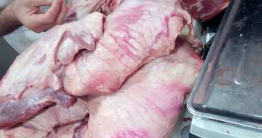 حبس صاحب مطعم ضبط بحوزته 310 كيلو لحوم فاسدة بالعجوزة 