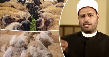 جدل فقهى حول "صكوك الأضاحى"..  شيخ أزهرى يدعو لوقف التعامل بها ويشرح الأسباب.. المتحدث باسم الأوقاف: لو كان إماما بالوزارة لأوقفته والصكوك ليست محل نقاش.. علماء: الهدف إطعام الفقراء ولو عبر مؤسسة وسيطة