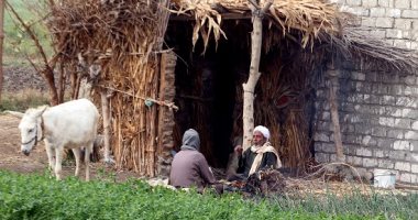 صورة اليوم.. قاعدة "رايقة" ساعة العصرية ما تتعوضش