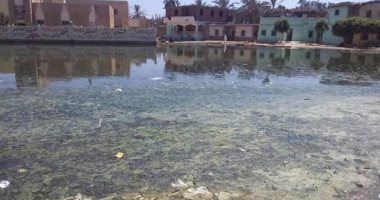 شكوى مصورة تكشف غرق قرية بالكامل فى مياه الصرف الصحى بالشرقية