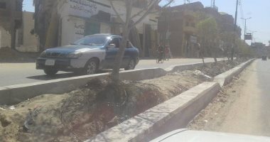 صور.. قارئ يبدى استيائه بعد تعرض أشجار فى الطريق العام بالبحيرة للتلف