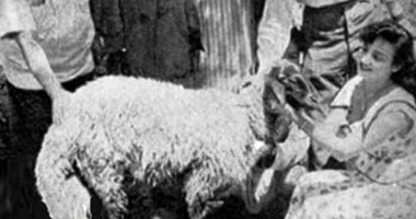 شاهد.. نجوم الزمن الجميل مع خروف العيد