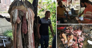  الكوارع والكرشة والممبار وجبة المواطنين المفضلة فى مدينة المحلة
