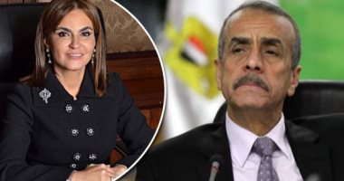 برؤوس أموال 3.6 مليار جنيه.. "الاستثمار" توافق على تأسيس 2085 شركة بداية العام