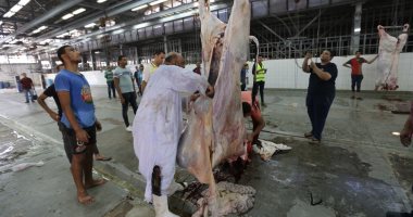 ضبط 12 طن مواد غذائية فاسدة خلال شهر واستعدادا مكثفة لعيد الاضحى بالدقهلية
