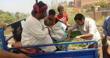 صور.. تحرير 14 محضر لمخالفات تموينية وصحية متنوعة بمدينة طما بسوهاج