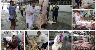 الأوقاف: 15 مليون جنيه صكوك أضاحى حتى الآن ونتلقى جلود أضاحى المنازل