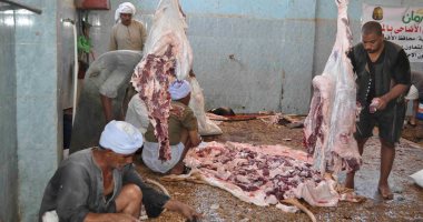 فتح 22 مجزر لذبح الأضاحى ووقف إجازات البيطريين فى العيد بالشرقية