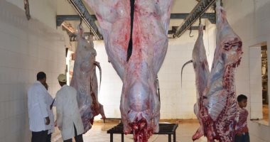ذبح 65 عجلاً وتوزيعها على الأسر الأولى بالرعاية فى مراكز وقرى الإسماعيلية