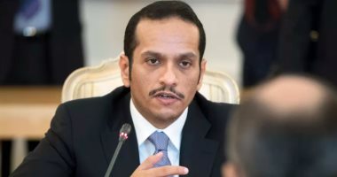 سامح شكرى يلتقى وزير خارجية قطر بالقاهرة غدا