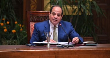السيسي يوافق على منحة بنحو مليونى دولار لصالح "القابضة للكهرباء" 