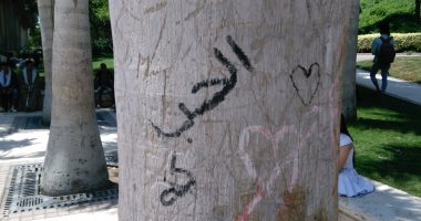 صور.. "الحب ولع فى الشجر".. عشاق حديقة الأزهر يشوهون أشجارها