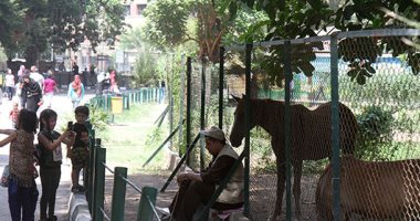 30 ألف زائر لحديقة حيوان الجيزة فى ثانى أيام عيد الأضحى المبارك