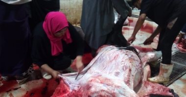 فيديو وصور.. "مروة" فتاة تحدت العادات والتقاليد واقتحمت مهنة الجزارة بأسيوط