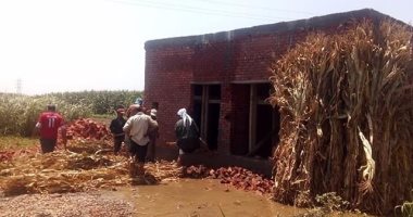 إزالة مقابر مخالفة على أرض زراعية بقرية بهادة بالقناطر الخيرية