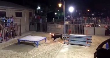 جنون التصوير.. امرأة تتعرض للنطح من ثور بقرون مشتعلة فى إسبانيا.. فيديو