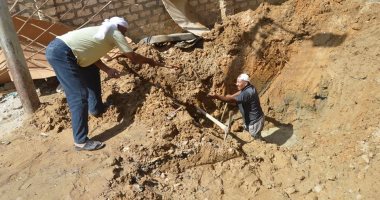 صور .. رئاسة مركز الخارجة تنفذ أعمال تشجير بشوارع المدينة