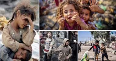 فى اليوم العالمى للأطفال الأبرياء.. روايات تتحدث عن أطفال الشوارع
