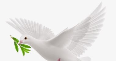 إيمان إبراهيم عبد الجليل تكتب: أرض السلام
