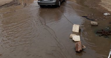 فيديو.. قرية أبو داود العنب بالدقهلية تسبح بمياه الصرف الصحى