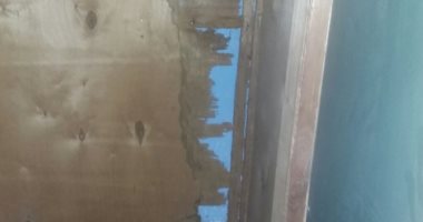 صور..رئيس مدينة الزينية يشكل لجنة لمعاينة 4 منازل ظهر فيها النمل الأبيض