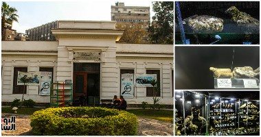 ‫ما لا تعرفه عن أول متحف حيوانى فى حديقة الحيوان بالجيزة