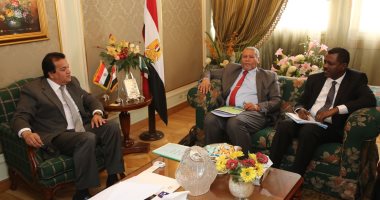 وزير التعليم العالى يبحث آليات التعاون العلمى والثقافى والبحثى مع السودان
