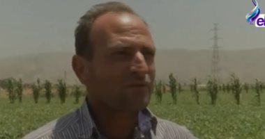 شاهد.. لماذا تلجأ لبنان لتقنين زراعة الحشيش للمزارعين؟ ..تعرف على السبب