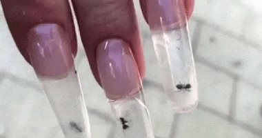 مانيكير الحشرات.. آخر تقاليع موضة الأظافر تنطلق من روسيا وتثير الجدل.. فيديو
