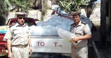 ضبط سيارة محملة بـ200 ألف وحدة زريعة أسماك محظور صيدها
