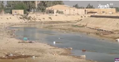 شاهد.. المياه المالحة تهدد أهالى البصرة بالعراق 