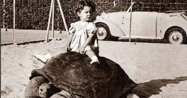 لعب ملوكى.. شاهد الأميرة فريال تجلس على ظهر أقدم سلحفاة فى مصر