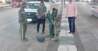 مساعد رئيس مدينة الأقصر للنظافة والتجميل تقود حملة لتنظيف منطقة العوامية