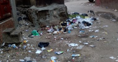 صور.. القمامة تحاصر مدينة زفتى بالغربية وسط غياب لمجلس المدينة 
