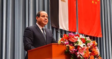 السيسى: الإسلام السياسى استغل فراغ ما بعد الثورات للسيطرة على الحكم دون وطنية