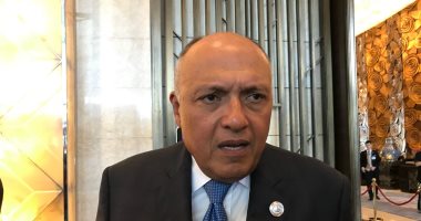 سامح شكرى: لابد من مواجهة حاسمة مع أى طرف شقيق أو جار متورط بدعم الإرهاب