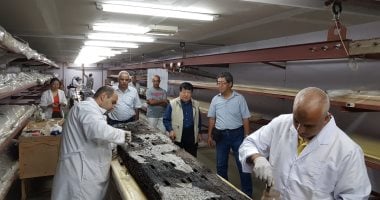 صور.. رئيس جامعة هيجاشى اليابانية يتابع ترميم 865 قطعة بمركب خوفو