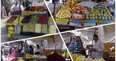 النقل: تصدير 62 ألف طن فواكه وخضراوات عبر الموانئ آخر 24 ساعة