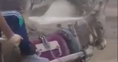 "الشاطرة تغزل برجل حمار".. عربية كارو بهاند بريك.. فيديو