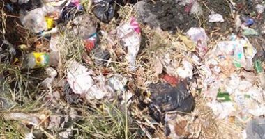 سكان شارعى السلخانة وزكريا عبد الهادى ببيجام .. "نعيش وسط أكوام القمامة"