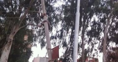 أعمدة الإنارة تصعق المارة.. شكوى أهالى طناش بالوراق محافظة الجيزة